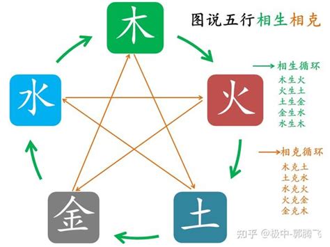 木跟土|郭极中：解析五行（木、火、土、金、水）相克的理论